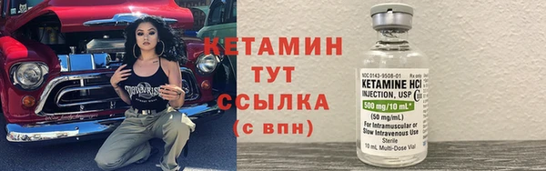 индика Гусев