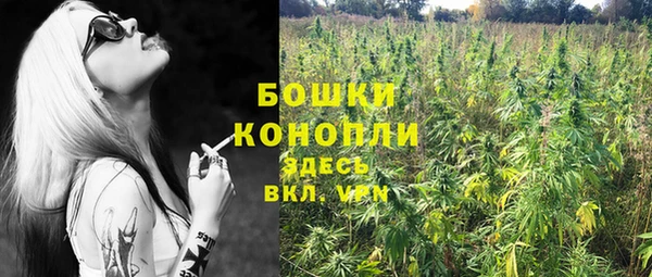 первитин Гусь-Хрустальный