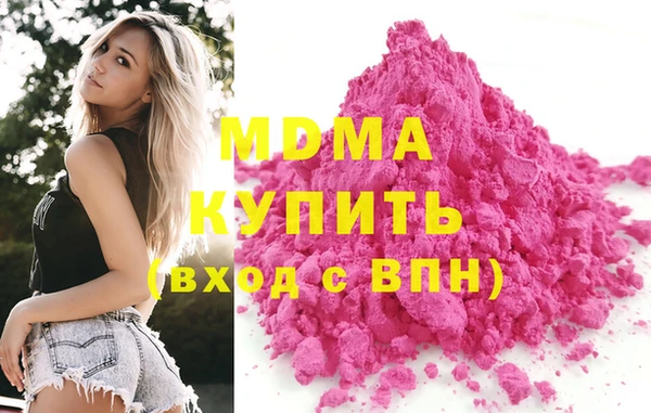 индика Гусев
