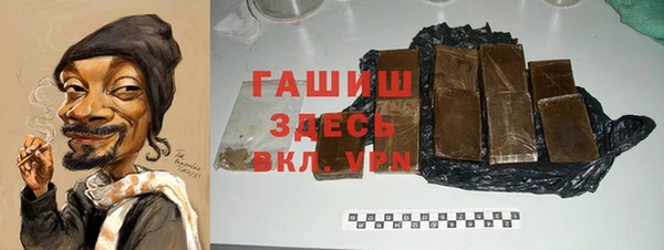 индика Гусев