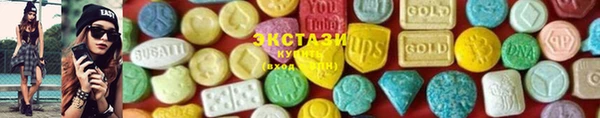индика Гусев