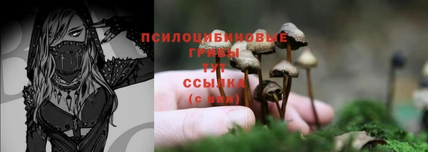 мяу мяу кристалл Гусиноозёрск