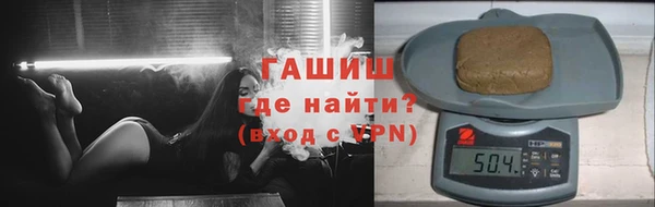 индика Гусев