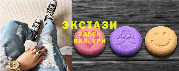 индика Гусев