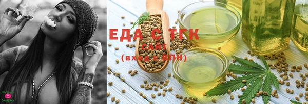индика Гусев