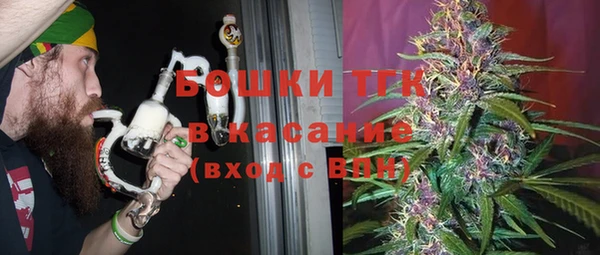 индика Гусев