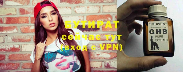 индика Гусев