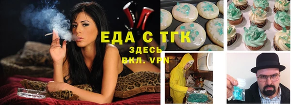 индика Гусев