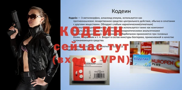 индика Гусев