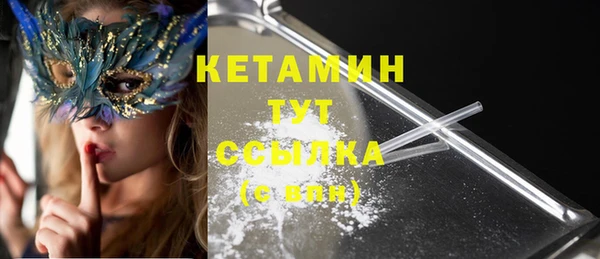 индика Гусев